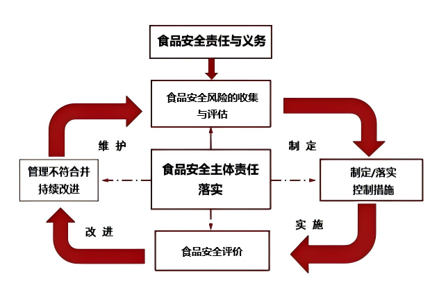 图片12